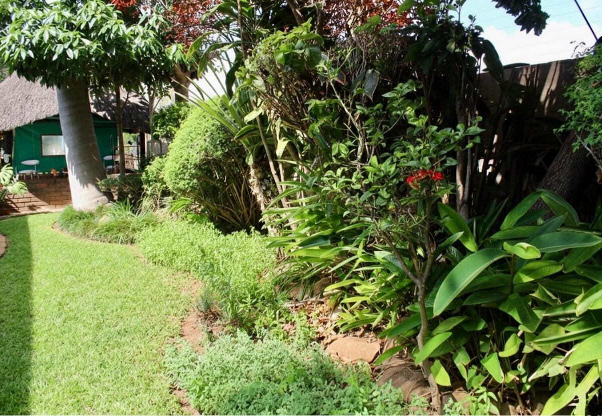 The Leafy Haven Guest Home - B&B Harare