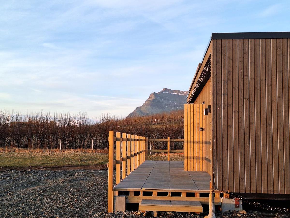Oddnýjarhús - Entire Private Peaceful Cottage in Nature - Chambres d’hôtes Höfn
