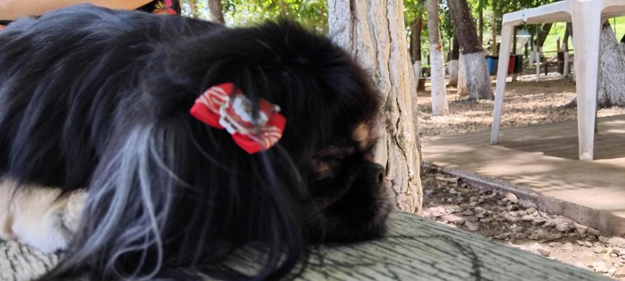 Enseada Náutico Caldas Novas - Ferienwohnung Caldas Novas