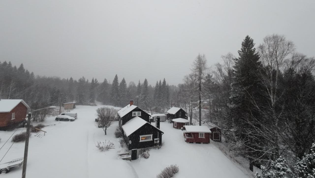 Ein großes Haus am Wald mit Bach für 8 Personen - Bed and Breakfast Vika