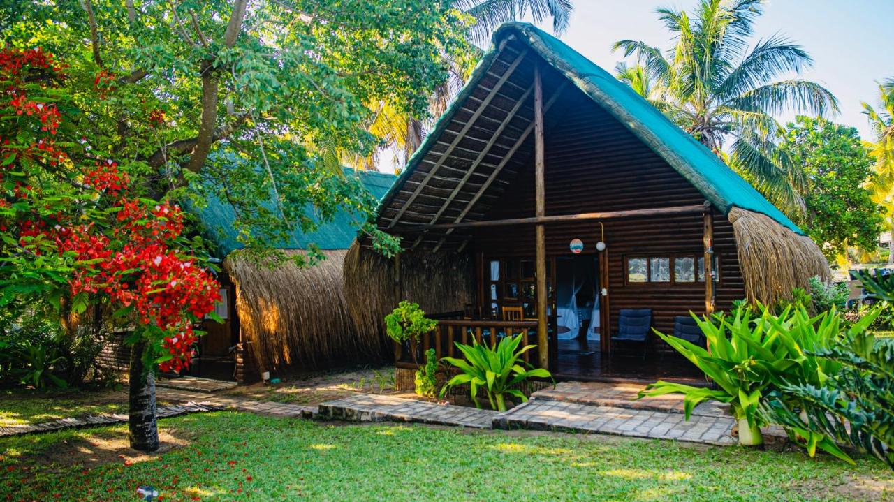 Viva O Sonho - B&B Banga