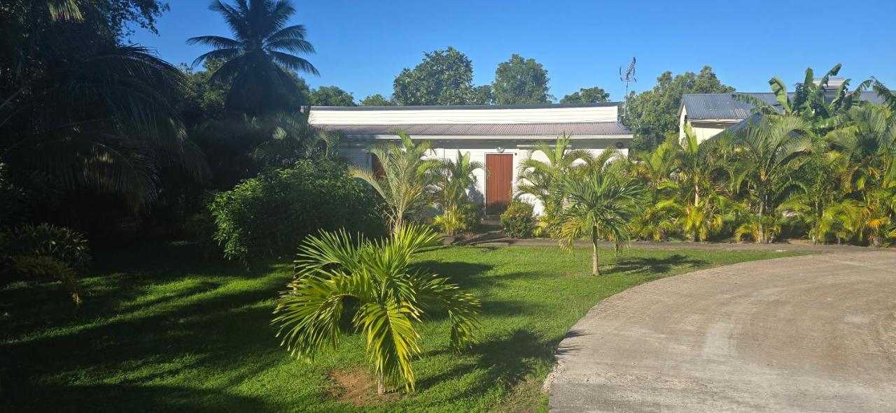 Keshy island colibri - B&B Baillif