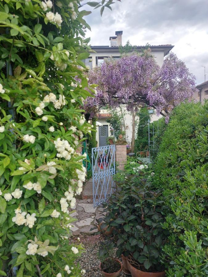 al piccolo giardino - Bed and Breakfast Vittorio Veneto