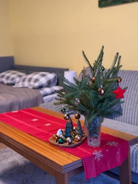 Apartament Salamandra Uno - Bed and Breakfast Stronie Śląskie