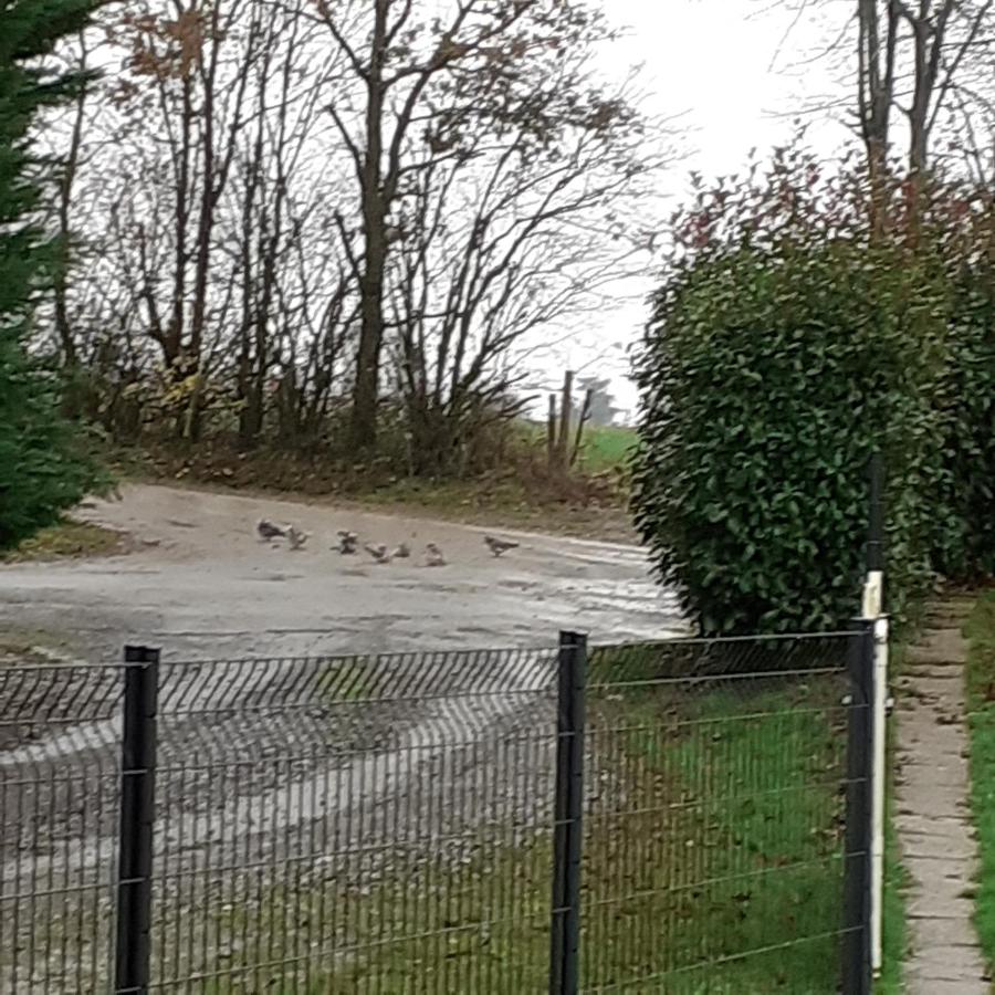 gite piscine campagne - B&B Saint-Sauveur-des-Landes