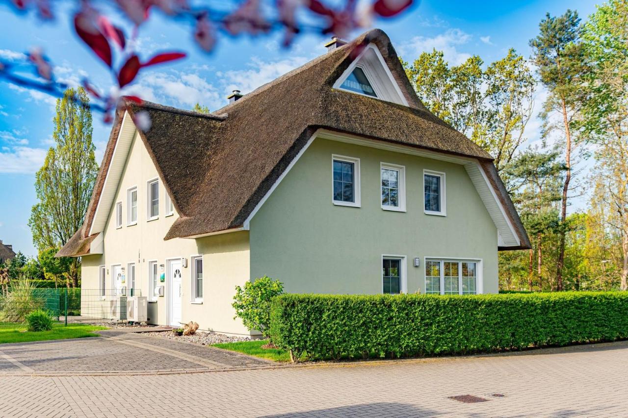 Seegras - B&B Groß Kirr