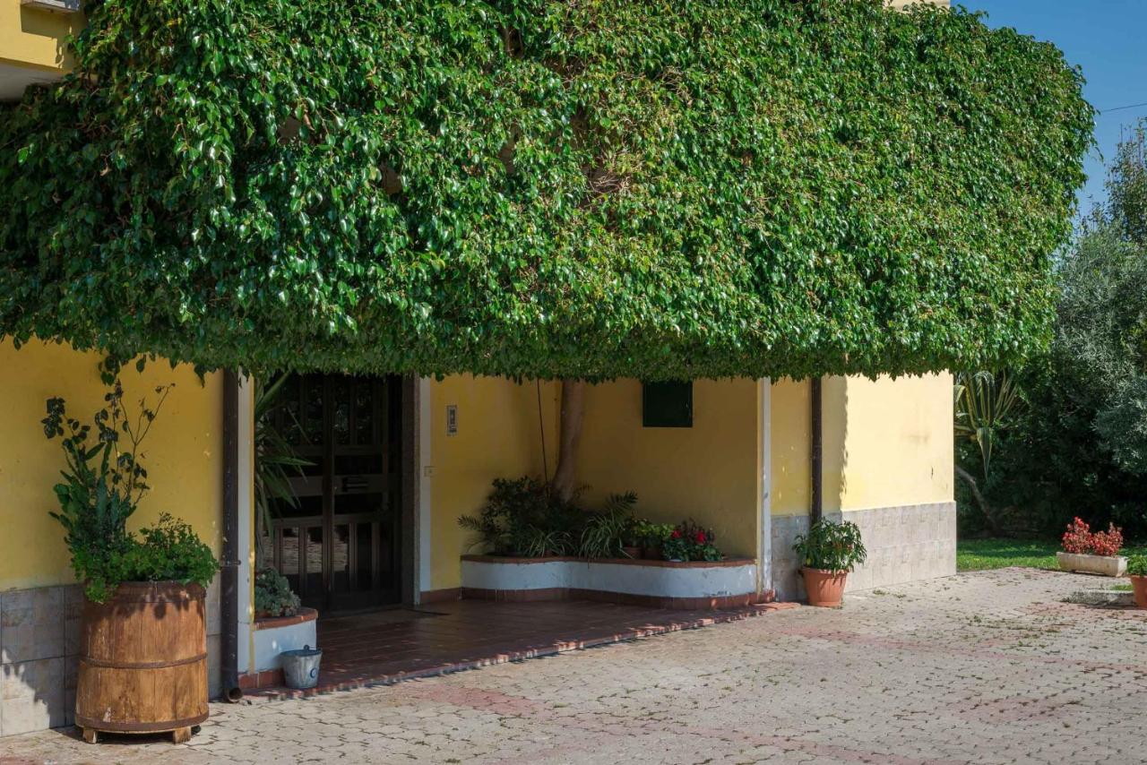 Casa Vacanze Il Girasole - Ferienwohnung