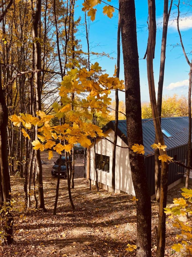 Forester Cabin - Ferienwohnung Telega