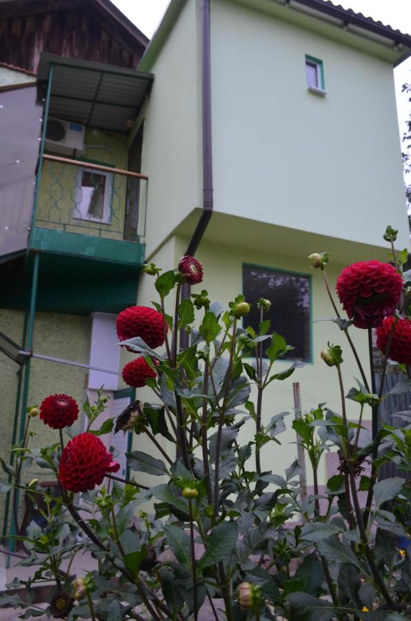 Villa 3 Chambres