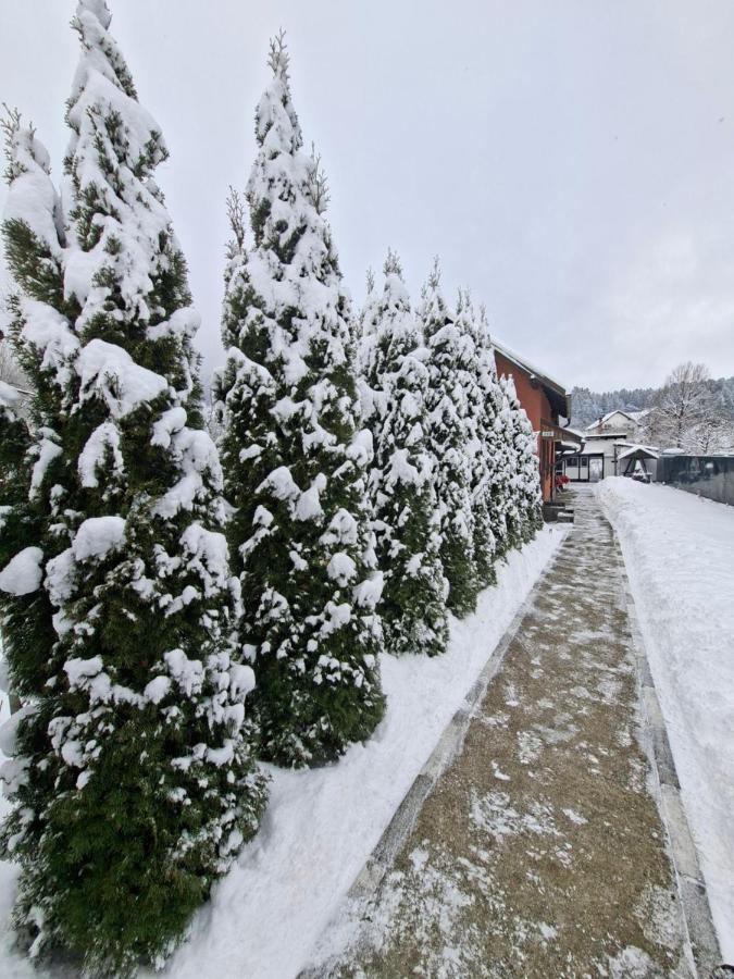 Casuța Râului - B&B Zărneşti