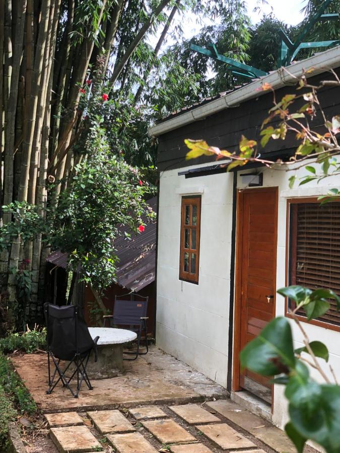 palacoffeehouse ปางอุ๋ง แม่ฮ่องสอน - B&B Ban Huai Makhuea Som