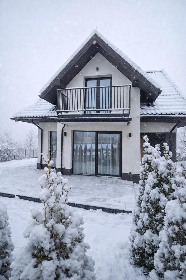 Markowicz Alpine House - Chambres d’hôtes Szaflary