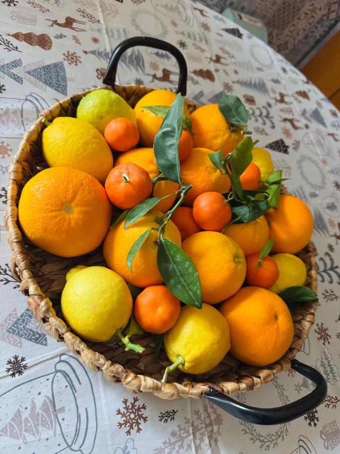 Thérèse Apartment - B&B Cefalù