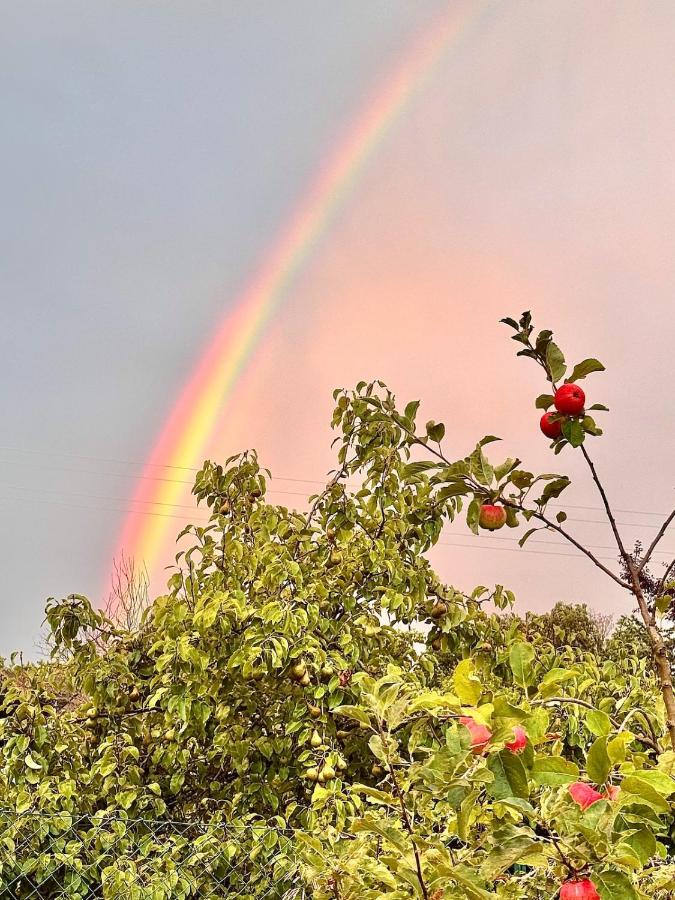 Zauberhafte Ferienwohnung in Idyllischer Lage - B&B Mitterdorf an der Raab