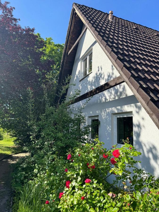Zauberhafte Ferienwohnung in Idyllischer Lage - B&B Mitterdorf an der Raab