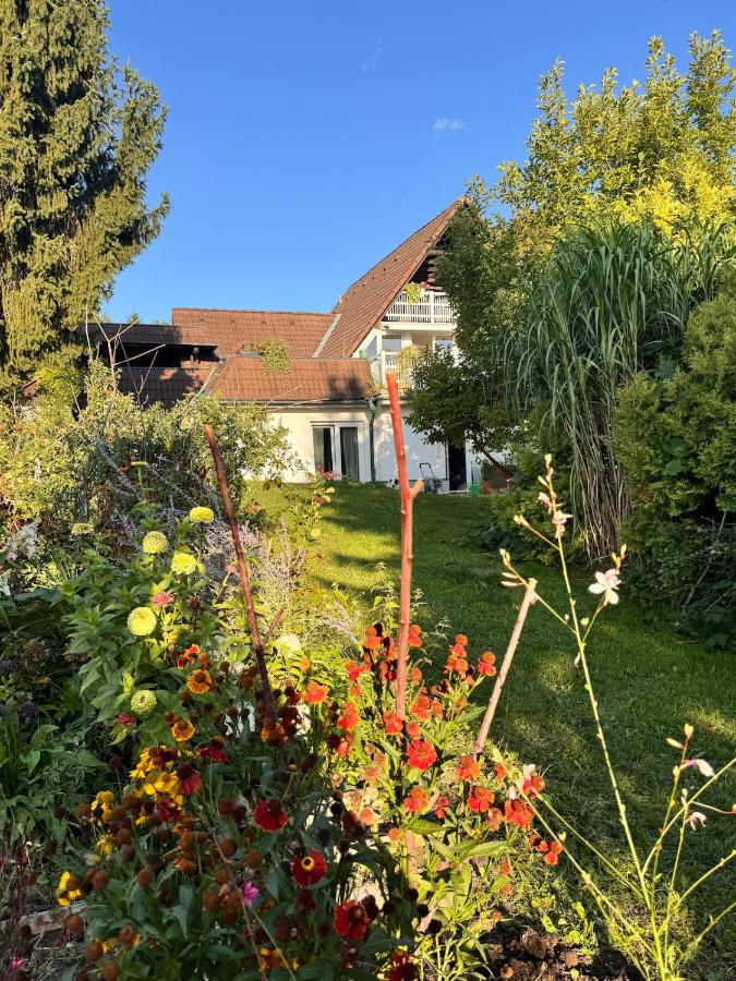Zauberhafte Ferienwohnung in Idyllischer Lage - B&B Mitterdorf an der Raab