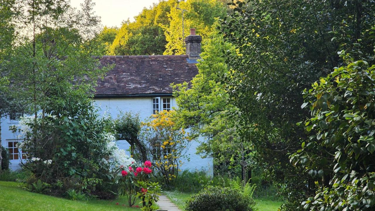 Ashdown Forest character cottage, 18th Century - Bed and Breakfast Crowborough