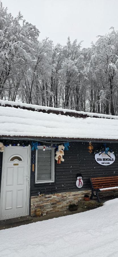 Studio dorința - B&B Deva