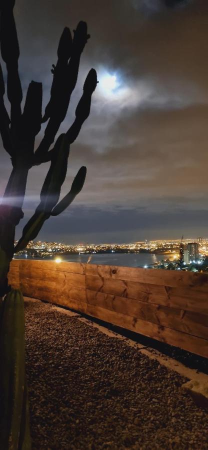 Loft Cactus De La Herradura - B&B Coquimbo