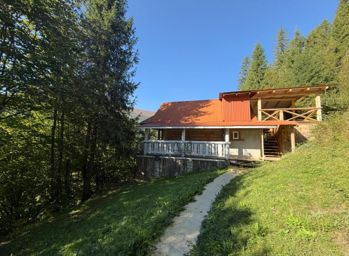 Домик в горах - B&B Bukovets