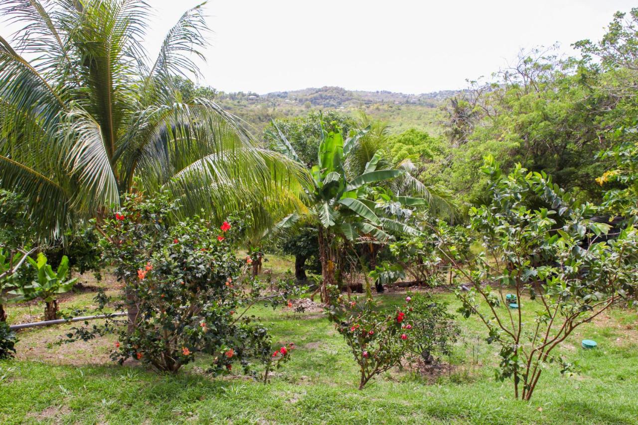 Kaïvivi - Bed and Breakfast Le Marin
