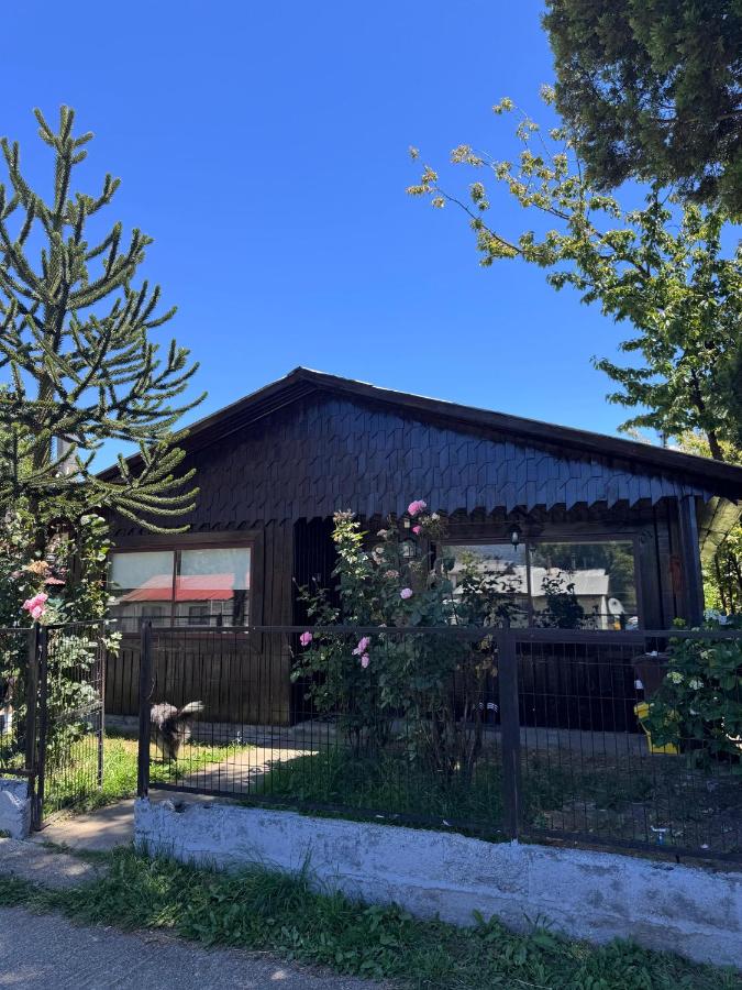 Casa Maya Modern central and pet friendly - B&B Futaleufú