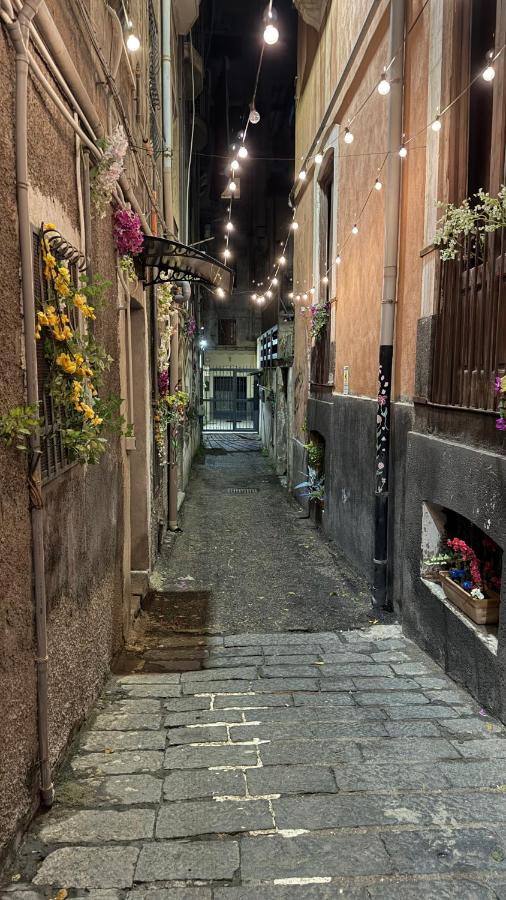 Lavica - B&B Catania