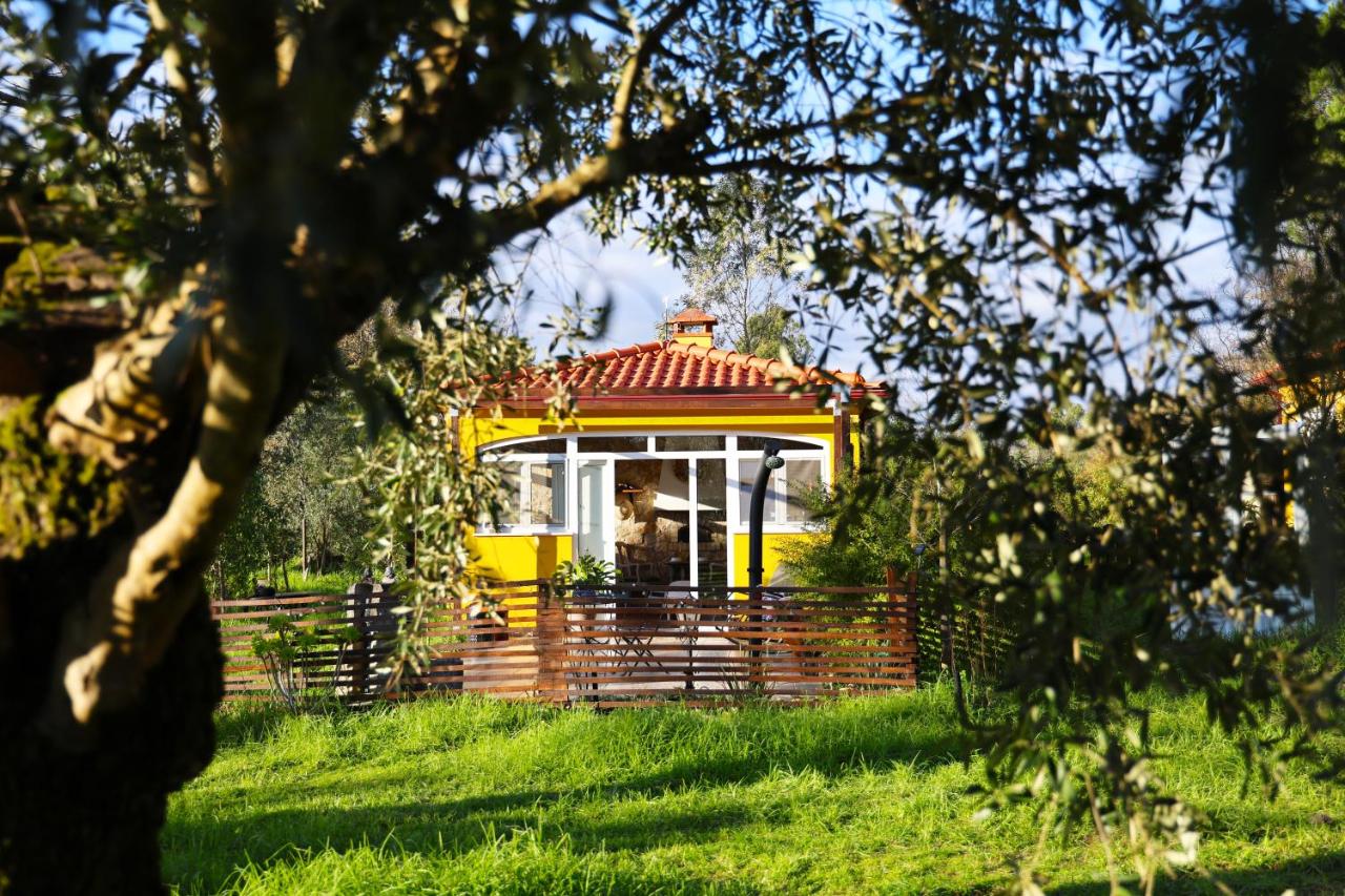 Quinta Ivonne - Chambres d’hôtes Montemor-o-Velho