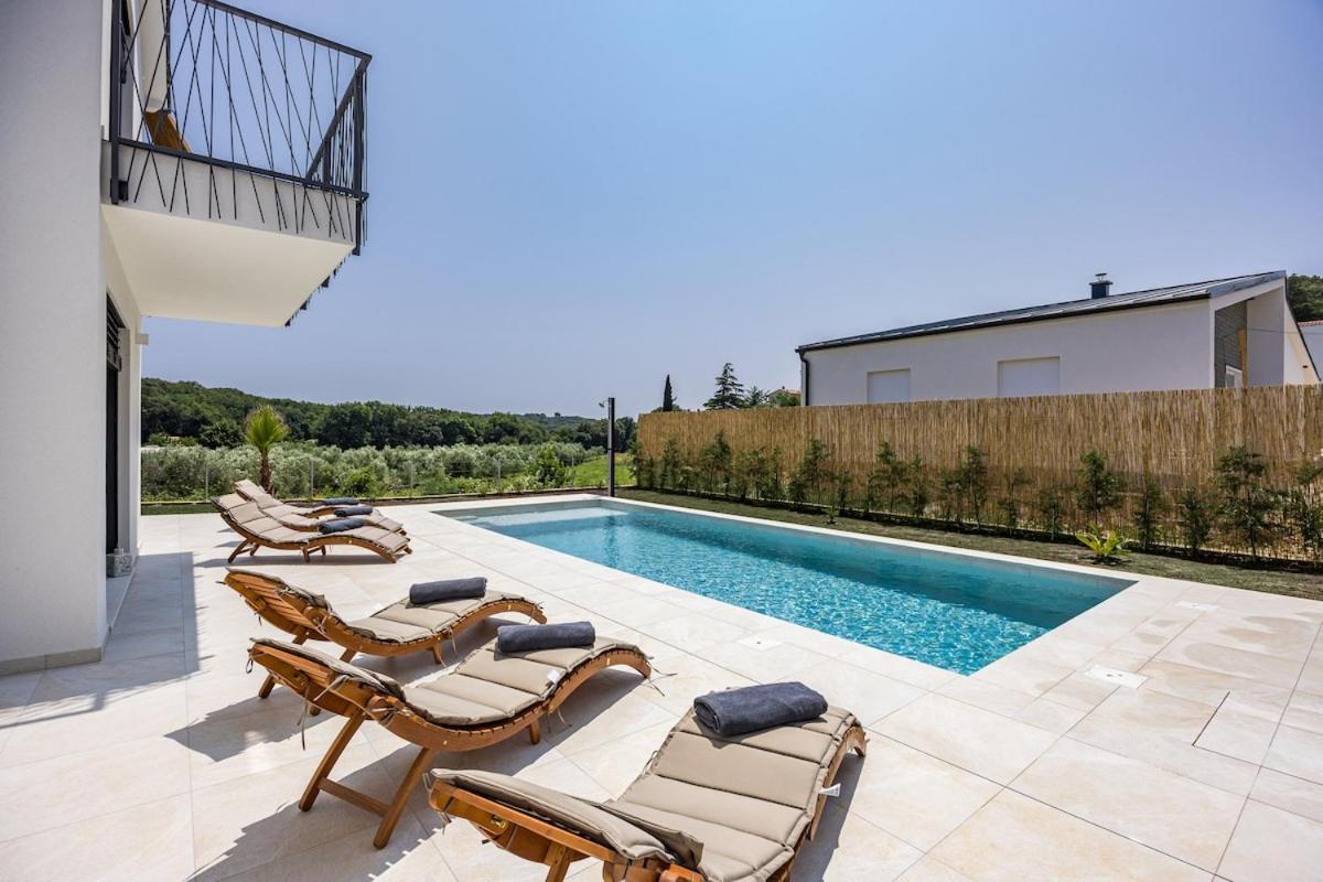 Villa Enja in tranquille village with heated salted pool - B&B Vintijan