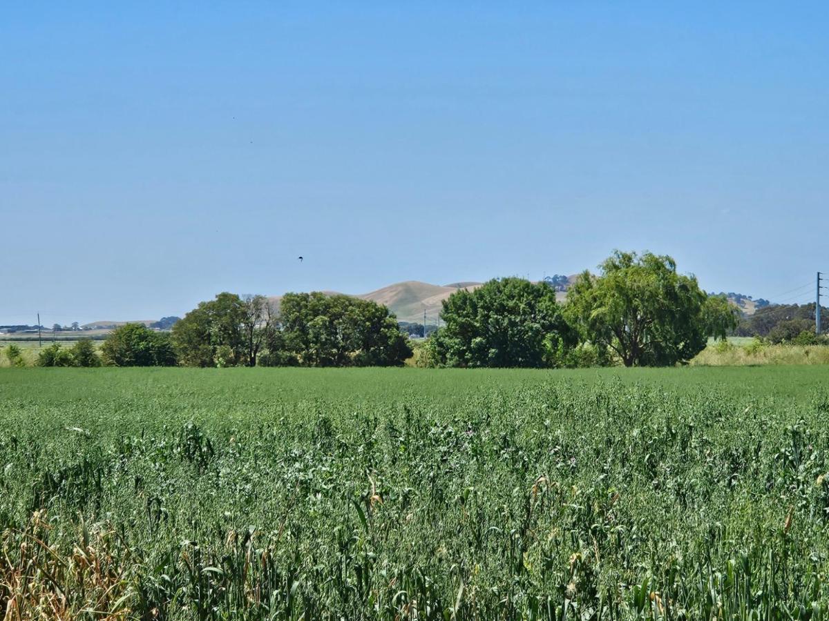 The Country Cabin with a View - Ferienwohnung Terang
