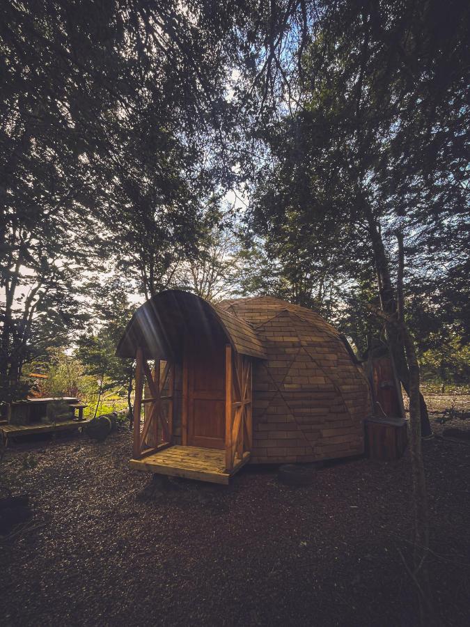 El Awen Domos - B&B Pucón