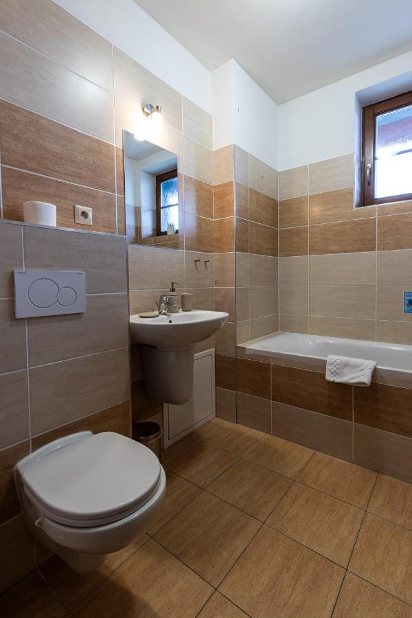 Appartement 1 Chambre avec Balcon et Vue sur les Montagnes 
