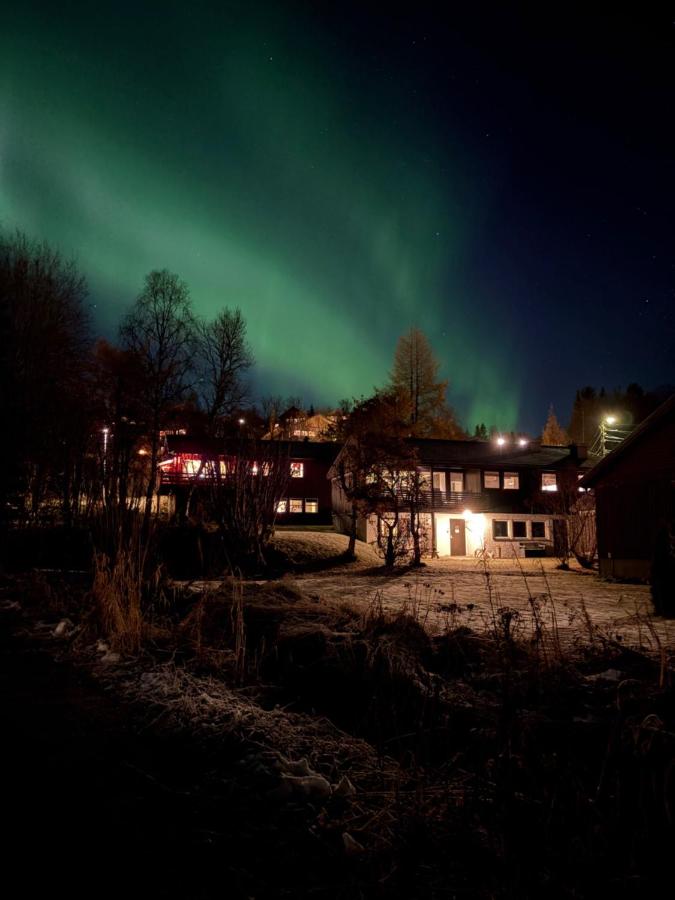 Romslig leilighet med kort vei til flyplassen - Chambres d’hôtes Tromsø