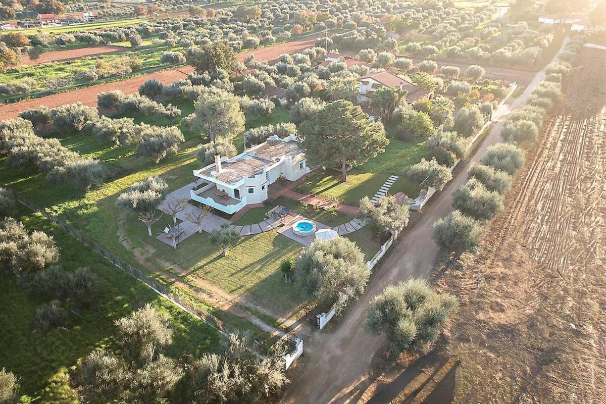 Villa Antheon - Bed and Breakfast Kalamaki