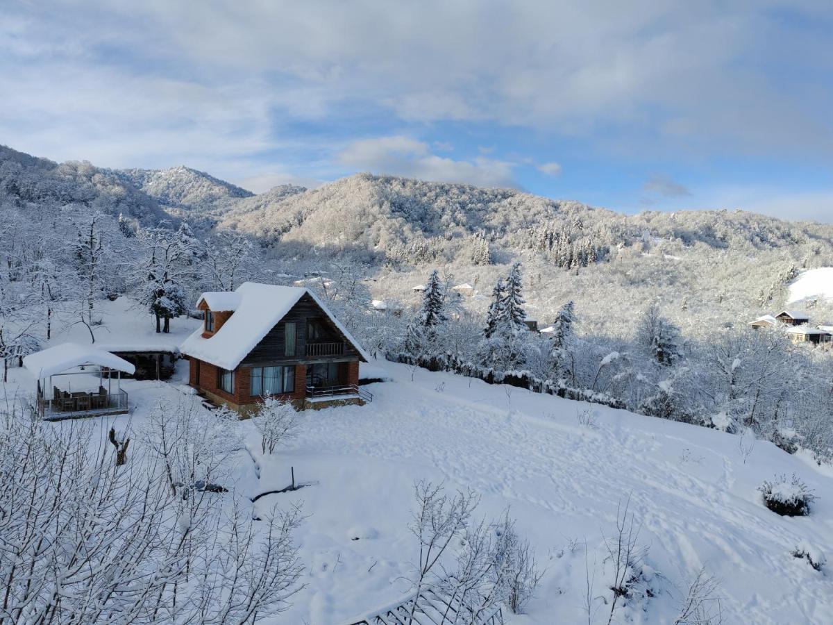 Shemoqmedi chalet - Chambres d’hôtes Zemo Mak’vaneti