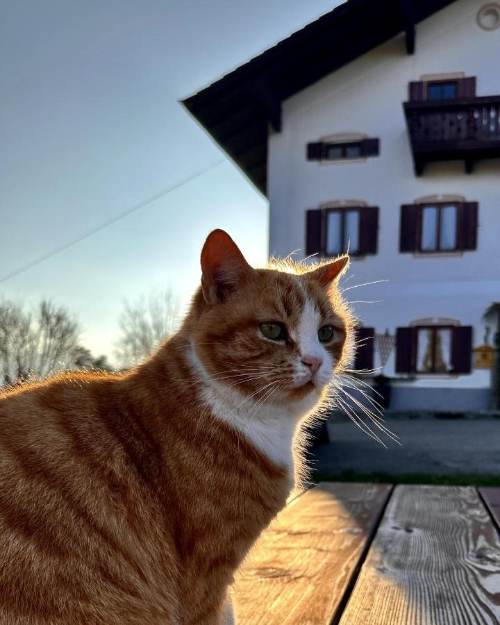 Lippschneiderhof Urlaub auf dem Bauernhof - B&B Bernau am Chiemsee