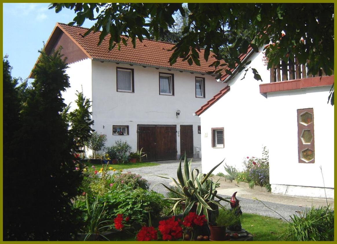 Ferienwohnung-Haus-Waldblick - Chambres d'hôtes Neschwitz