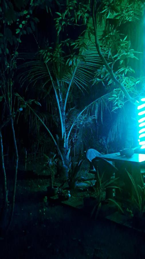 Hidden Nature place villa - B&B Weligama