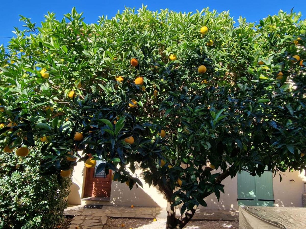 Maison Banyuls-sur-Mer, proche plage et commerces, climatisée à l'étage - FR-1-309-34 - Chambres d’hôtes Banyuls-sur-Mer