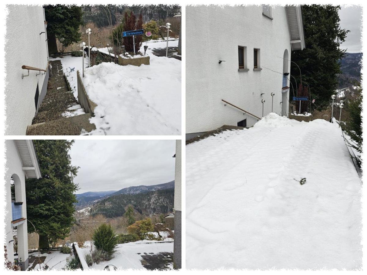 Panoramablick Bermersbach - Bed and Breakfast Forbach