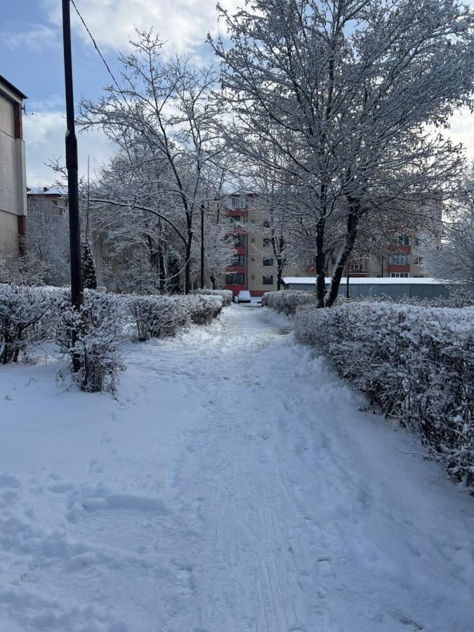 TwinNest Petrila - B&B Petrila