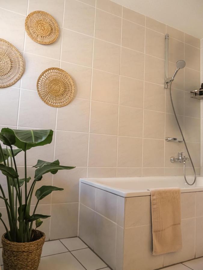 Appartement 1 Chambre