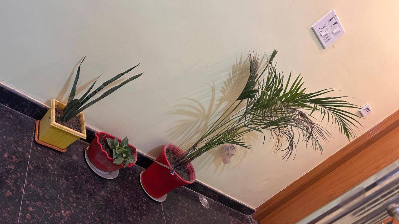 Residency Trilok - B&B Benarés