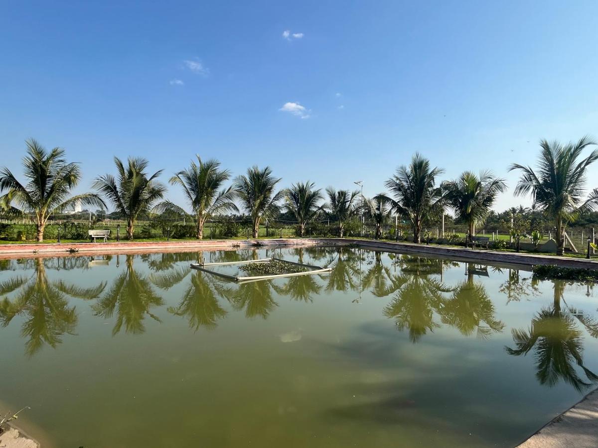 Melalueca homestay - Bed and Breakfast Tây Ninh