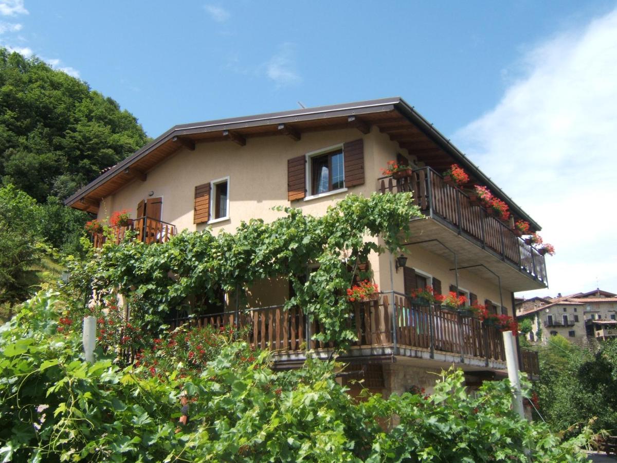 Agriturismo La Zangola - B&B