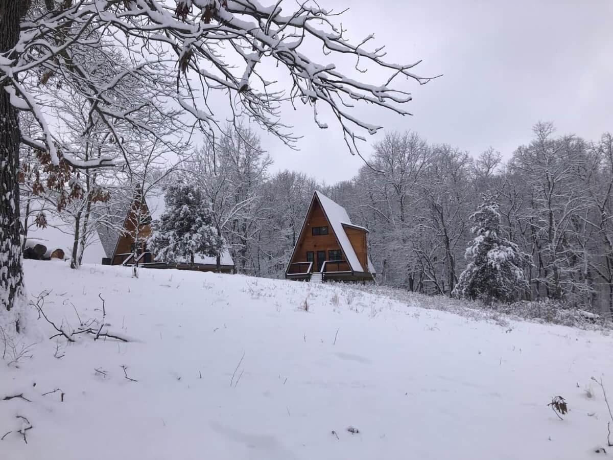 Dogwood Den- Cozy Forest A-Frame Near Bentonville - B&B Rogers