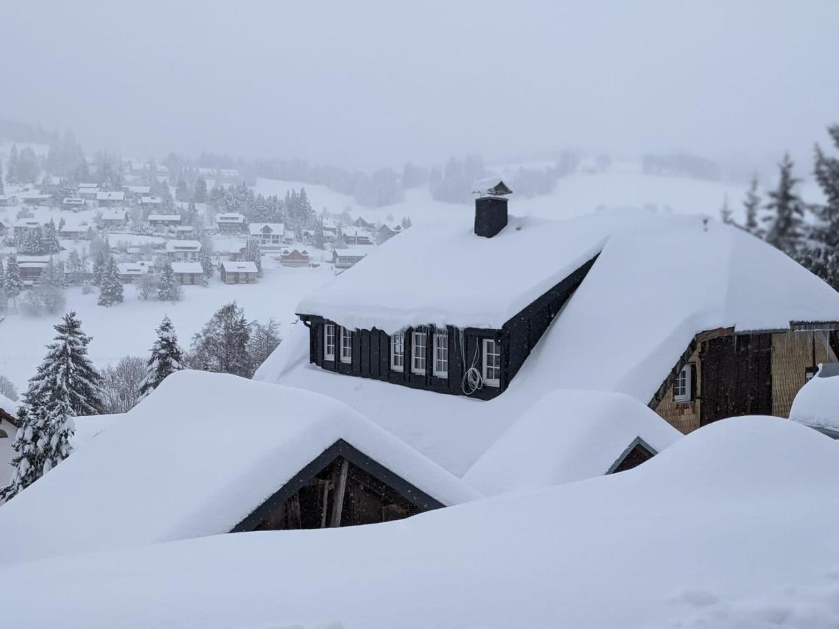 Schwarzwald Chalet Matti in Todtnauberg - Ferienwohnung Todtnauberg