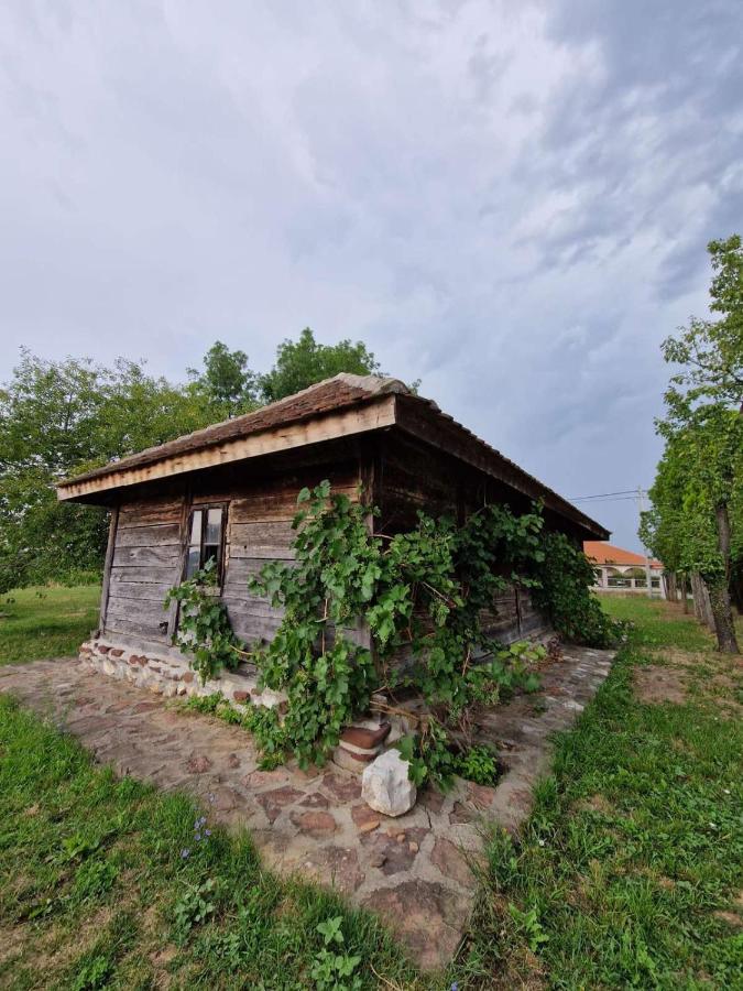 Lavender farm Zarić - B&B Porosanica
