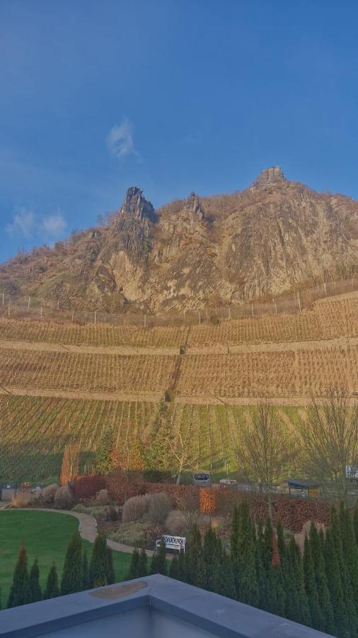 Historische Villa mit Drachenfels-Blick - B&B Bad Honnef