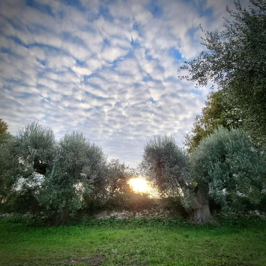 Le Grotte di Sileno - B&B Castellaneta